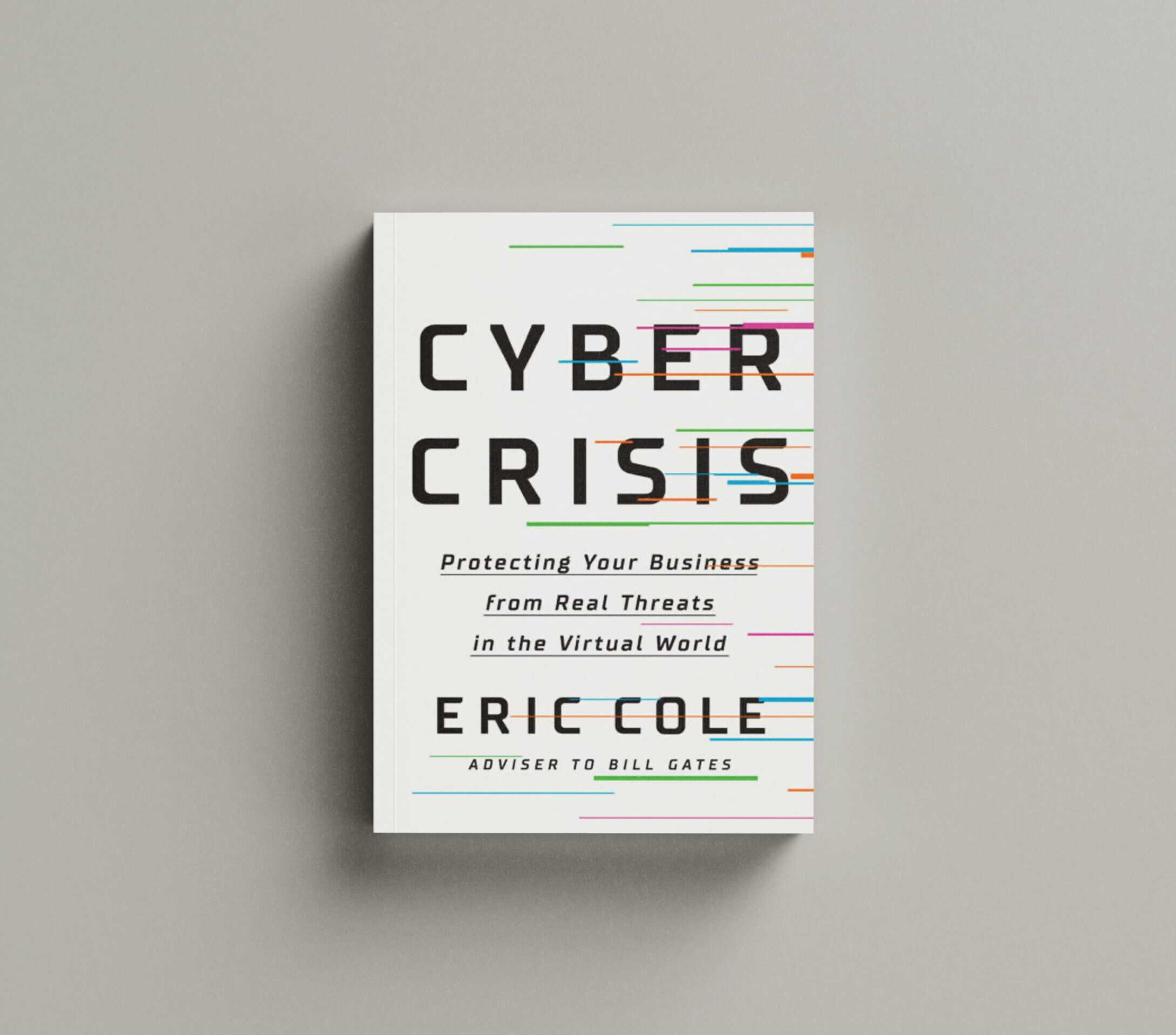 Cyber Crisis book